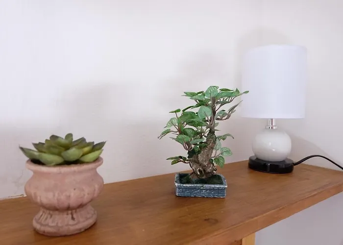 Casa La Terrazza - House On The Sea